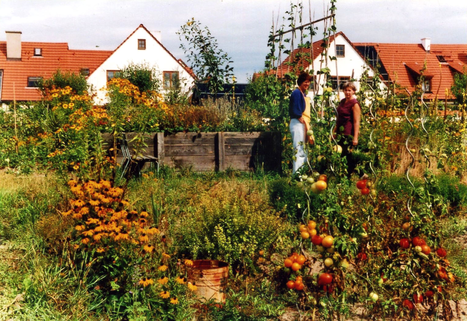 Gmeinschaftsgarten